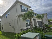 3501 Great Banyan Way in Wesley Chapel, FL - Building Photo - Building Photo