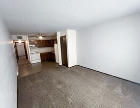 2-3 3 Michael St in Streator, IL - Building Photo - Building Photo