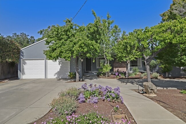 property at 808 Pico Ln