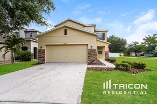 19609 Timberbluff Dr in Land O Lakes, FL - Building Photo