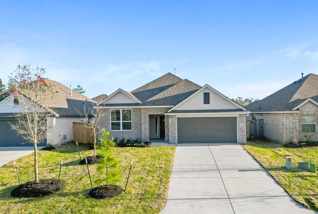 property at 2944 Palominos Wy