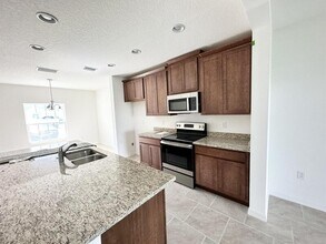 1159 Sand Torch Cir in Davenport, FL - Building Photo - Building Photo