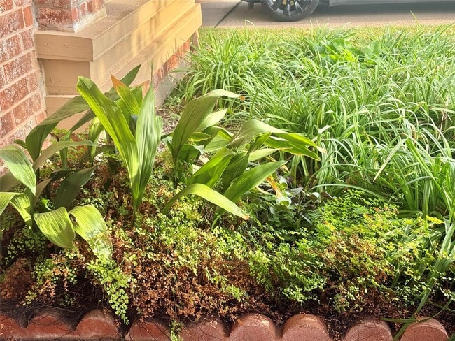 property at 2934 Field Line Dr