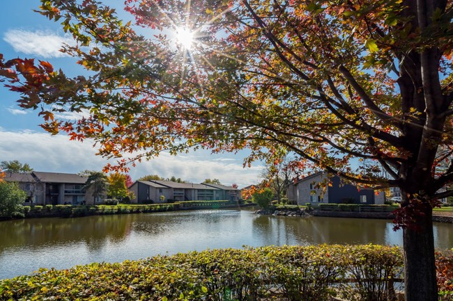 Lakeside Apartments