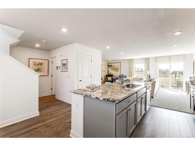 12589 Guadalcanal Cir in Blaine, MN - Building Photo - Building Photo