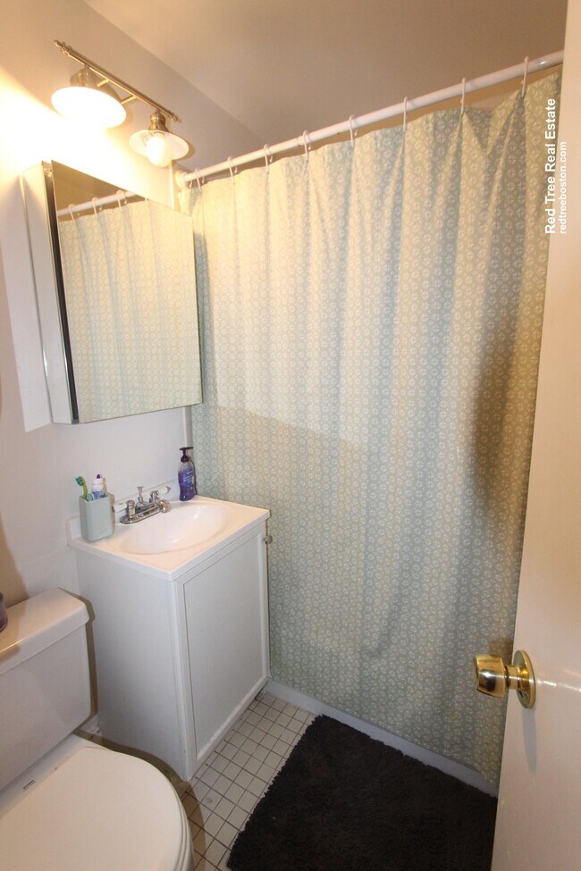 202 Saint Paul St, Unit 21 in Brookline, MA - Building Photo - Building Photo