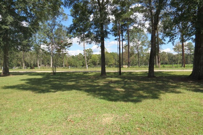 94 Chipmunk Trail in Shepherd, TX - Building Photo - Building Photo