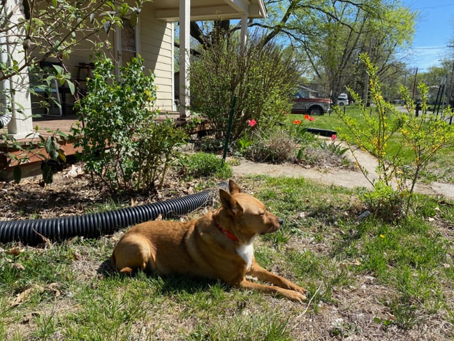 property at 246 N 8th St