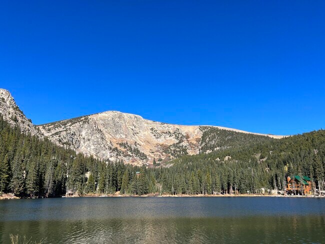 830 Brook Dr in Idaho Springs, CO - Building Photo - Building Photo