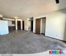 1233 S Gilbert Ct in Iowa City, IA - Building Photo - Building Photo