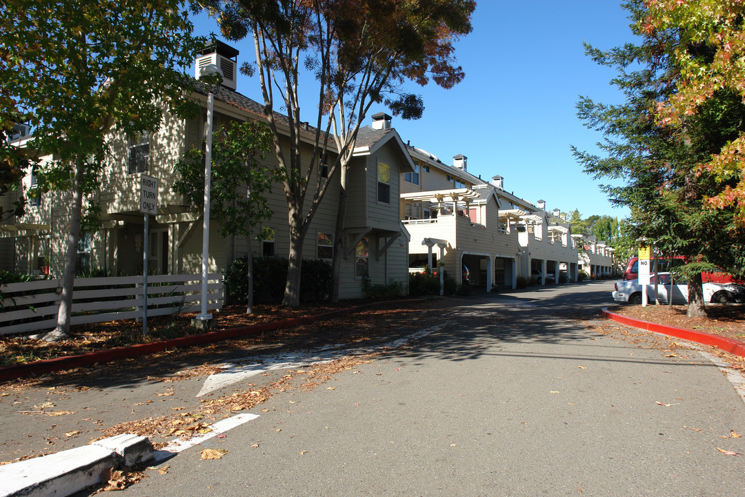 Tower Apartments in Rohnert Park, CA - Building Photo