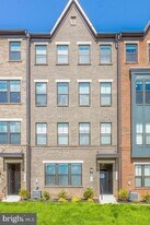 43357 Radford Divide Ter in Ashburn, VA - Building Photo