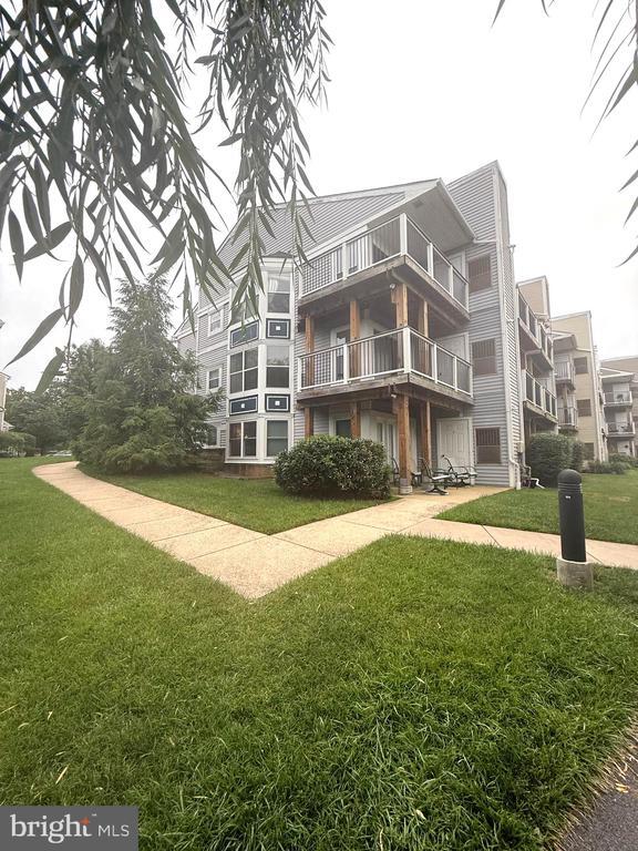 20590 Cornstalk Terrace in Ashburn, VA - Building Photo - Building Photo