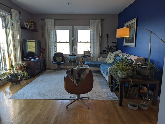 2456 Massachusetts Ave, Unit 305 in Cambridge, MA - Building Photo - Building Photo