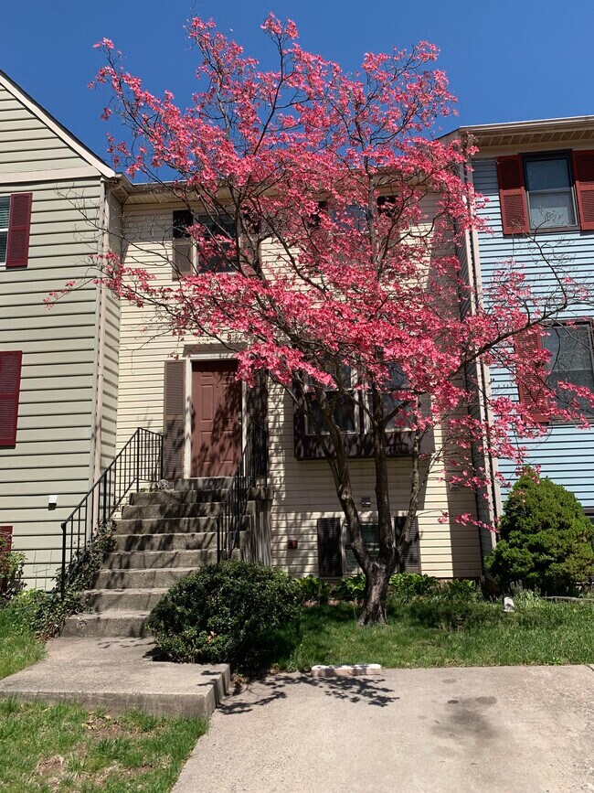 936 Barton Oaks Pl, Unit Basement in-law suite