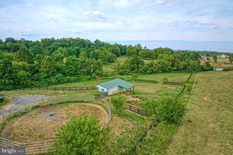 3959 Cobbler Mountain Rd in Delaplane, VA - Building Photo - Building Photo