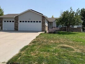 8502 Secretariat Dr in Wellington, CO - Building Photo