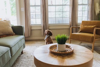 308 Lamont St-Unit -2 in Johnson City, TN - Building Photo - Building Photo