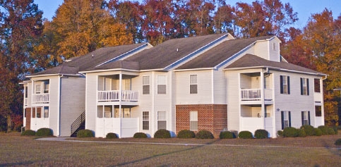 The Trellis Apartments in Greenville, NC - Building Photo - Building Photo