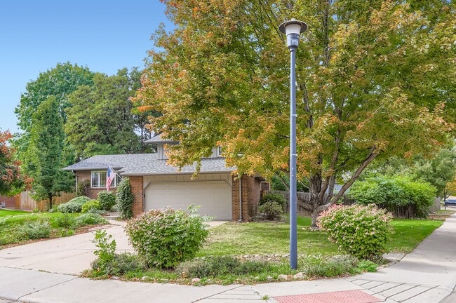 577 Hilltop St in Longmont, CO - Building Photo - Building Photo