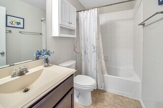 3023 Dripping Springs Ct in Katy, TX - Building Photo - Building Photo