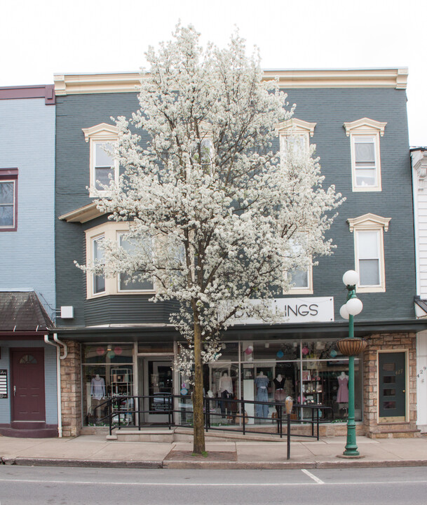 427 Market St, Unit Apt C in Lewisburg, PA - Foto de edificio