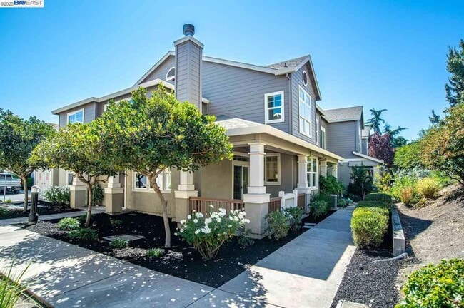 255 Wildrose Common in Livermore, CA - Building Photo - Building Photo