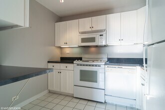 2626 N Lakeview Ave in Chicago, IL - Building Photo - Building Photo