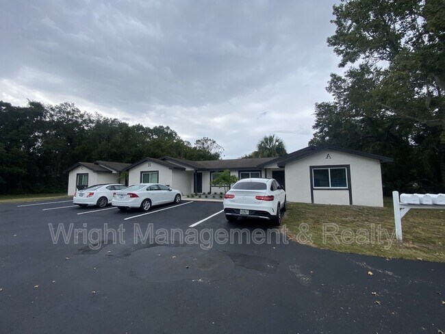 206 St Petersburg Dr E in Oldsmar, FL - Building Photo - Building Photo