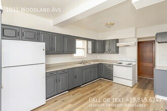 1011 Woodland Ave in Toledo, OH - Building Photo - Building Photo