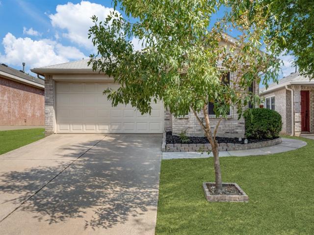 1009 Savage Dr in Denton, TX - Building Photo - Building Photo