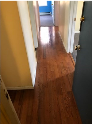 824 Huntington Ave in Boston, MA - Building Photo - Building Photo