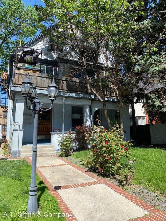 1073 N Downing St in Denver, CO - Building Photo