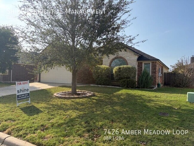 7426 Amber Meadow Loop in Temple, TX - Building Photo - Building Photo