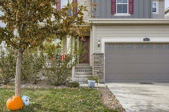 3103 Jonquil St in Castle Rock, CO - Building Photo - Building Photo