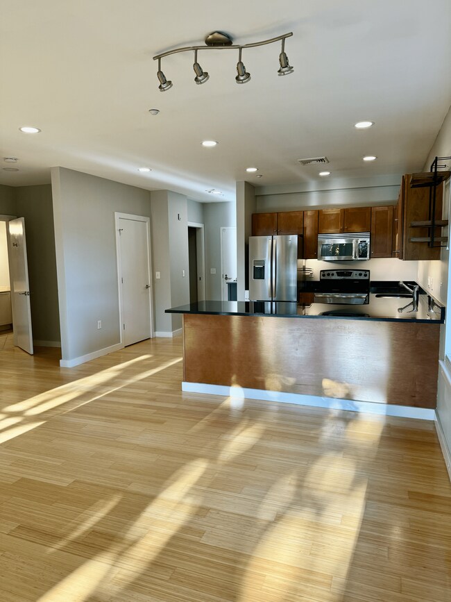 99 Chestnut Hill Ave, Unit 220 in Boston, MA - Building Photo - Building Photo