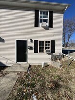 119 S 8th St in Belleville, IL - Building Photo