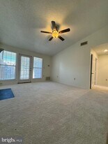 20952 Timber Ridge Terrace in Ashburn, VA - Building Photo