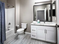 Premier Scheme bath - Avalon at Chestnut Hill Apartments in Boston, Massachusetts