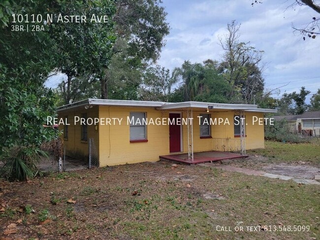 10110 N Aster Ave in Tampa, FL - Building Photo - Building Photo
