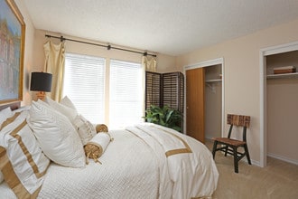 The Pointe Apartments in El Paso, TX - Foto de edificio - Building Photo
