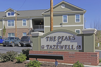 Peaks of Tazewell in Tazewell, TN - Building Photo - Building Photo