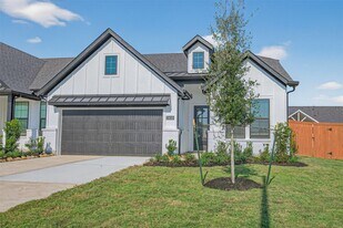 24110 Blooming Daisy Cir in Katy, TX - Building Photo