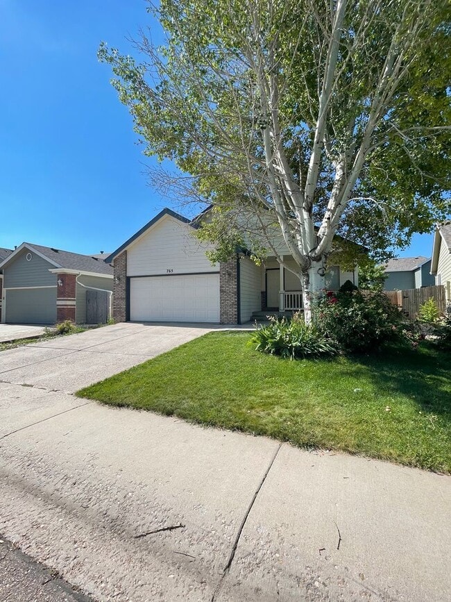 765 Bluegrass Way in Windsor, CO - Building Photo - Building Photo