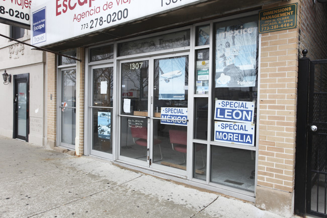 1307 N Ashland Ave in Chicago, IL - Foto de edificio - Building Photo