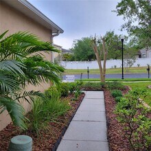 26910 Stillbrook Dr in Wesley Chapel, FL - Building Photo - Building Photo