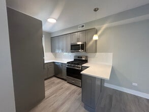 1131 Oak Ave, Unit 1135-2E in Evanston, IL - Foto de edificio - Building Photo