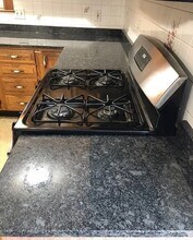 36 Seymour St in Boston, MA - Building Photo - Building Photo