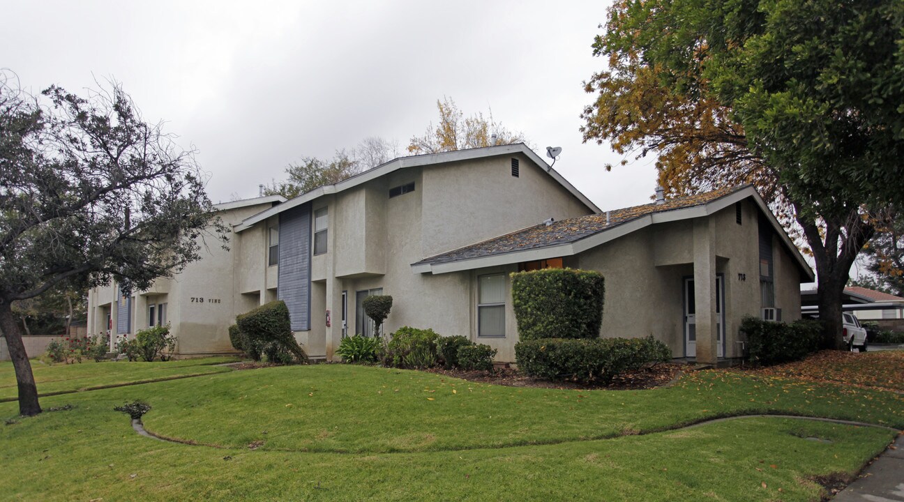 713 N Vine Ave in Ontario, CA - Building Photo