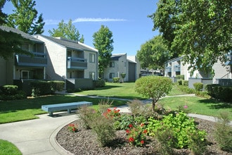 The Gate in Pleasant Hill, CA - Building Photo - Building Photo